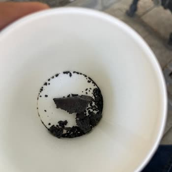 Nescafe Bozuk Kahve Ürünü Ve Sağlık Riski