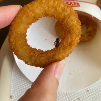 Burger King Menüsünden Sinek Ölüsü Çıktı