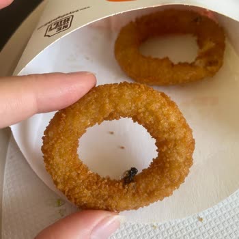 Burger King Menüsünden Sinek Ölüsü Çıktı