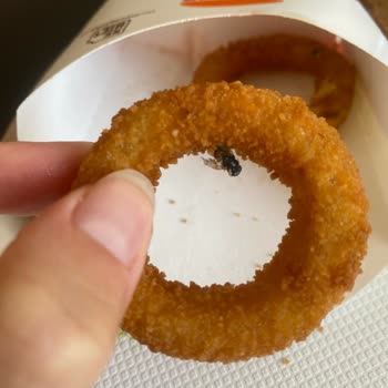 Burger King Menüsünden Sinek Ölüsü Çıktı