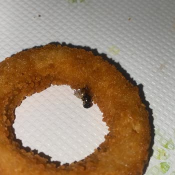 Burger King Menüsünden Sinek Ölüsü Çıktı