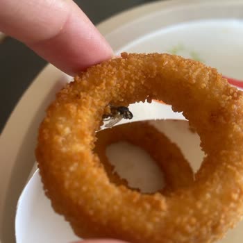 Burger King Menüsünden Sinek Ölüsü Çıktı