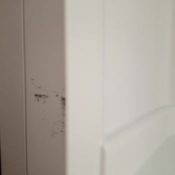 Vestel Derin Dondurucu Ayıplı Gönderildi