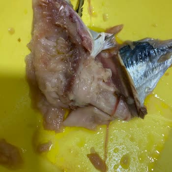 Migros 'ta Bozuk Balık Satılıyor.