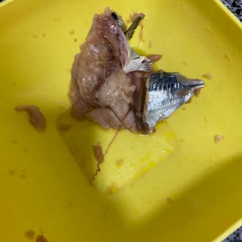 Migros 'ta Bozuk Balık Satılıyor.