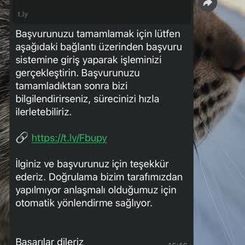 İşin Olsunda Şikayet Var