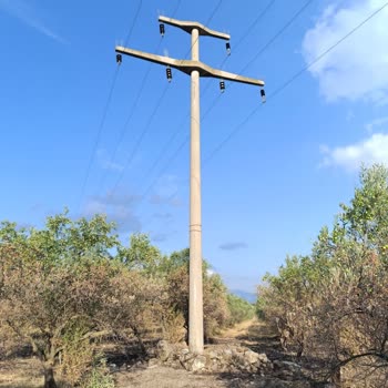 Gdz Elektrik Dağıtım Yıldırım Düşmesi Sonucu Zeytin Ağaçlarım Yandı