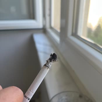 Philip Morris Sigaranın İçinden Odun Parçaları Çıkıyor