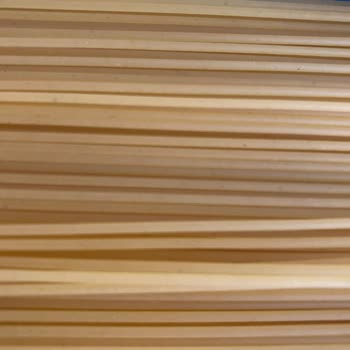 Nuh'un Ankara Makarnası Ankara Markalı Spagettinin İçinde Küçük Siyah Noktalar