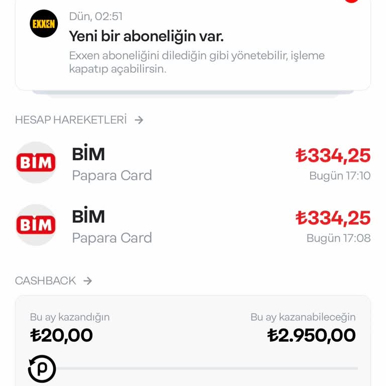 BİM'de Ödeme Sorunu: Papara Kartımla Yaptığım Alışverişte Fiş Çıkmadı