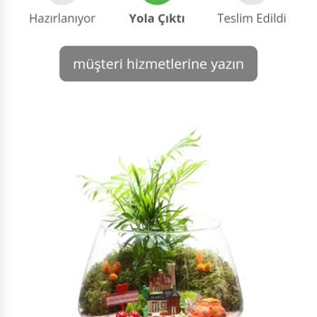 Salonbitkileri.com Doğum Günü İçin Yanlış Ve Geç Gelen Çiçek