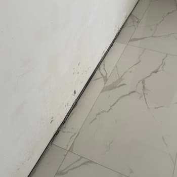 Termal Seramik Alişanoğulları İnşaat Fayans Renk Tonları Değişik
