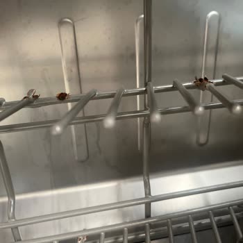 Teka Bulaşık Makinesi Ve Elektrikli Ocak