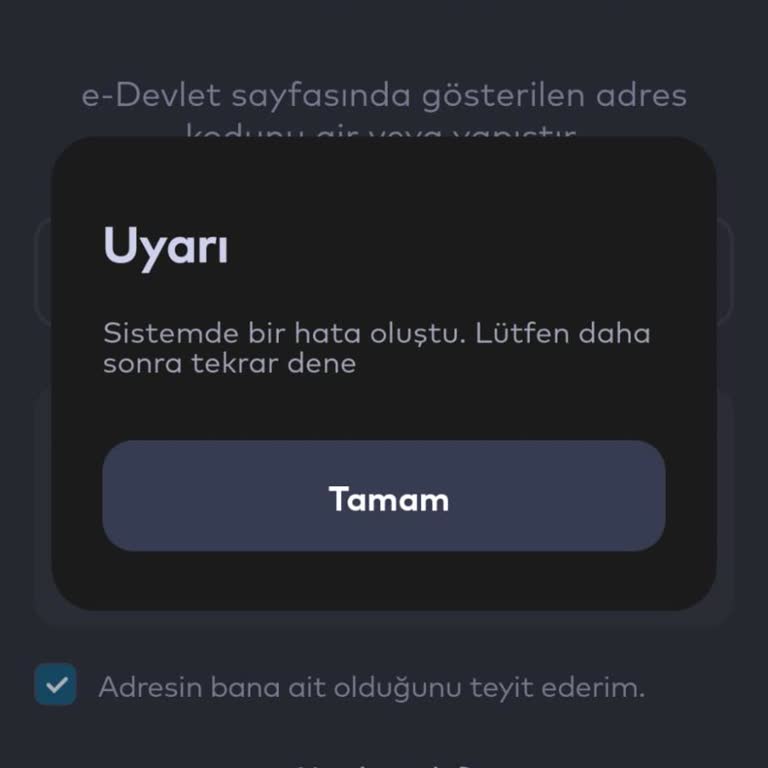 İstanbulkart Uygulamasında Para Aktarma Ve Hesap Doğrulama Sorunu