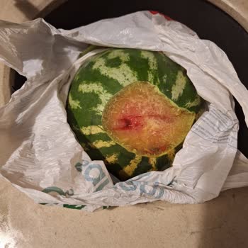 Migros Sanal Market Bozuk Ürün Gönderdi, Para İadesi Yok İlgi Yok!