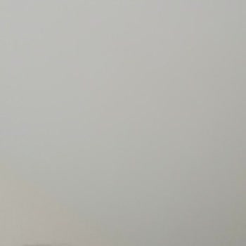 WhatsApp'ta İzinsiz Görüntülü Arama Grubuna Ekleme Sorunu