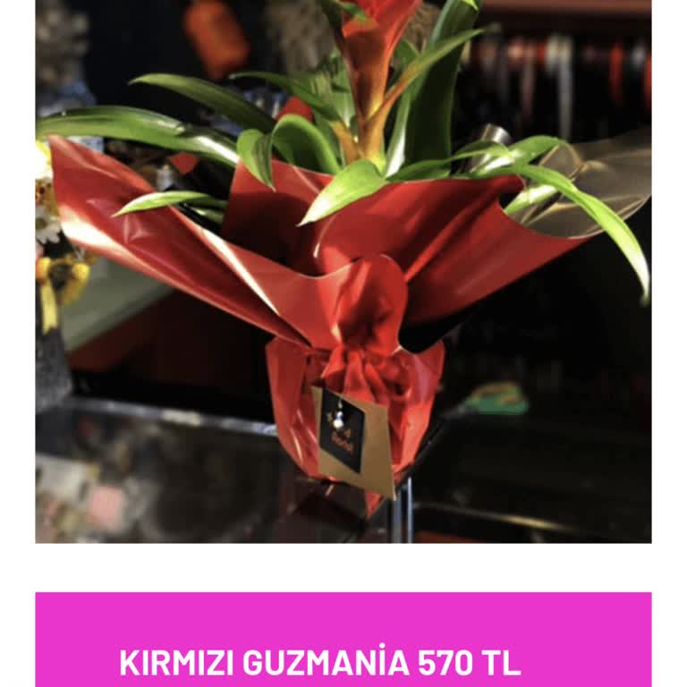 Efsun Çiçekçim'in Yarattığı Mağduriyet