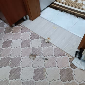 Reeder Marka Telefonum Patladı