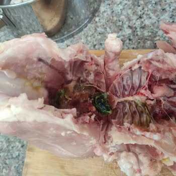 Erpiliç Tavuğun İçinde Kurt