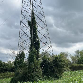 TEİAŞ Samsun Bölgesinde Tabela Montajı Sorunu