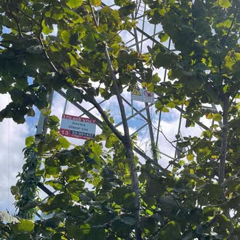 TEİAŞ Samsun Bölgesinde Tabela Montajı Sorunu