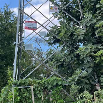 TEİAŞ Samsun Bölgesinde Tabela Montajı Sorunu