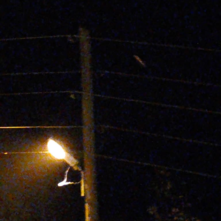 TEDAŞ Sorumsuzluk Lütfen İlgilenin