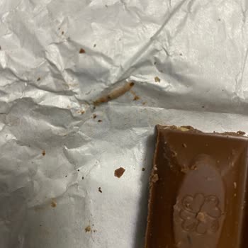 Migros'tan Aldığımız Çikolatadan Kurt Çıktı!