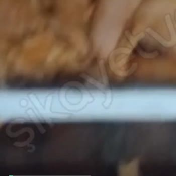 BİM Yaprak Döner Kokuyor Ve Etlerin İçinde Siyah Şeyler Var
