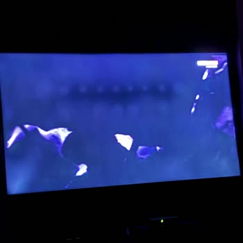 Garantisi Olan Vestel 70U9600 Model Televizyon Ve Müşteri Mağduriyeti