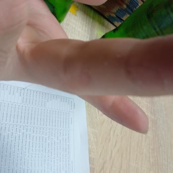 Goodyear Oto Aksesuar Eldivenleri Kullanım Sonucu