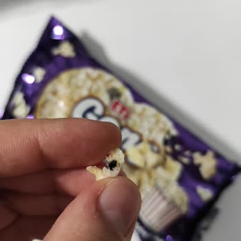Eti Gıda Eti Gong Sinek Çıktı
