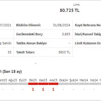 Denizbank Mobil Uygulama Ve Müşteri Temsilcisine Bağlanma Sorunları