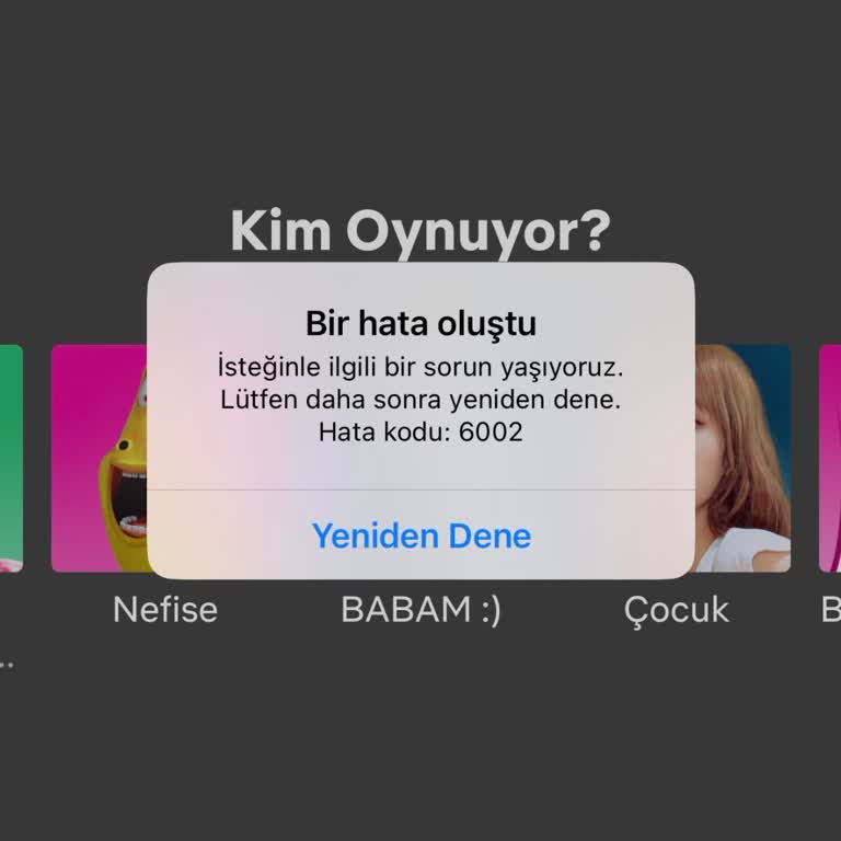 Netflix Fm2024 Mobile Hata 6002