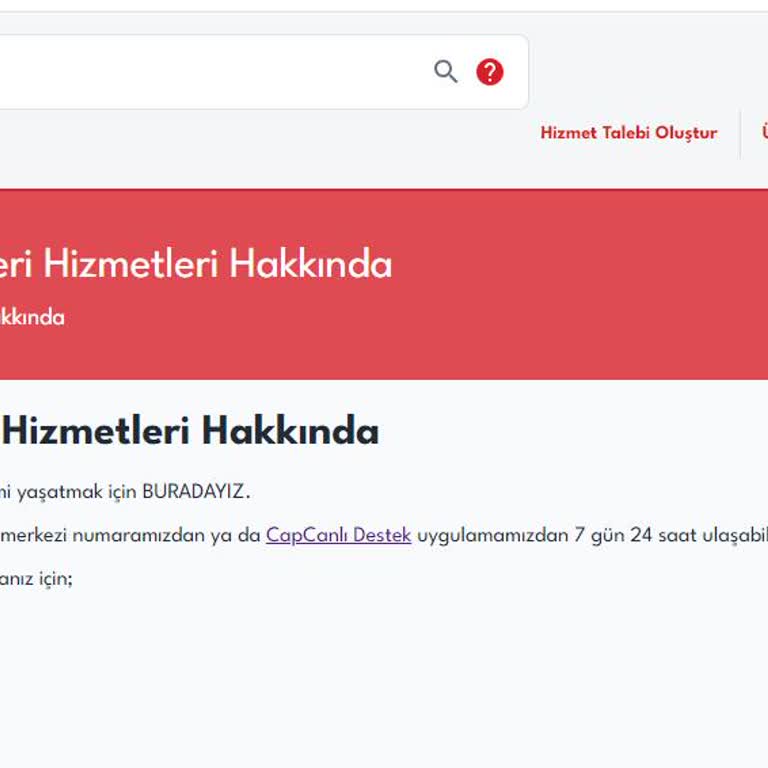 Vestel İn Sunamadığı Hizmet Kalitesi
