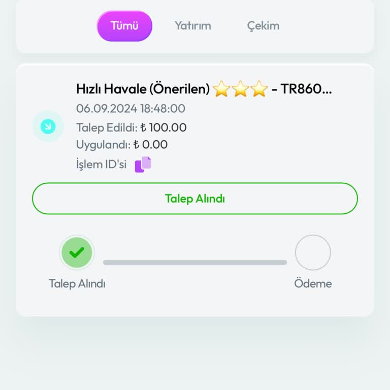 Zlot Yatırım Sonrası Hesaba Geçiş Sorunları Ve Destek Eksikliği