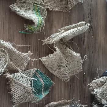 Kaktus_sukulent22 (Instagram) Yanlış Ürün Ve Kötü Hizmet Deneyimi