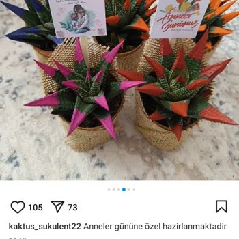 Kaktus_sukulent22 (Instagram) Yanlış Ürün Ve Kötü Hizmet Deneyimi