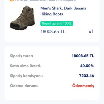 Tdeal. Buzz Carrefour SA AVM Üzerinden Yönlendirilen Site