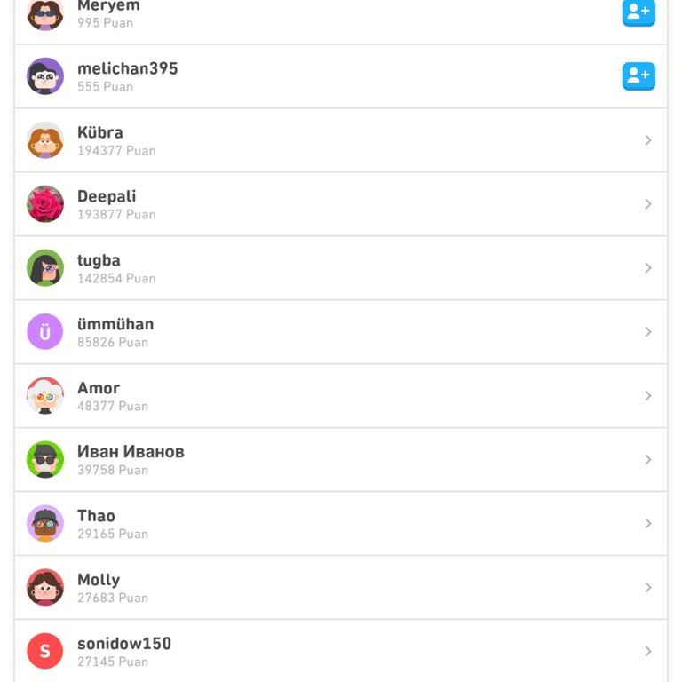 Duolingo Profil Fotoğrafı Sorunu
