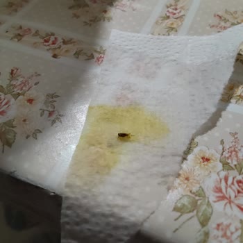 Dudomi Noodle'da Böcek Şoku: Midem Bulandı!