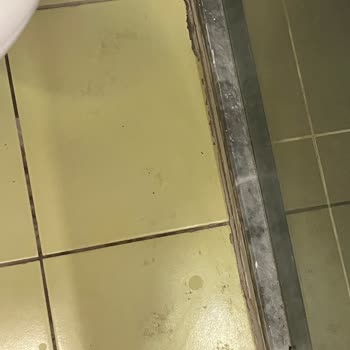 White Lilyum Jolly Tur Önerisi İle Gidilen Otel Vasat Çıktı