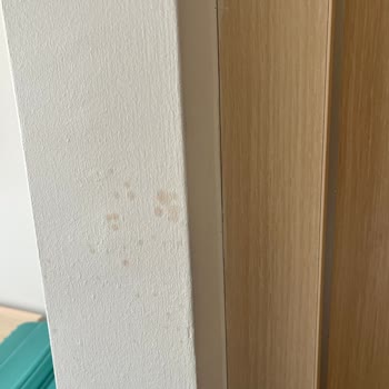 White Lilyum Jolly Tur Önerisi İle Gidilen Otel Vasat Çıktı