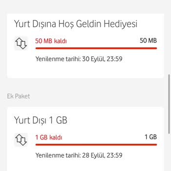 Yanlış Tanımlanan Yurt Dışı Paketi Mağduriyeti