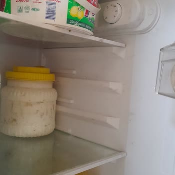 Vestel Buzdolabı Motor Ve Aydınlatma Arızası