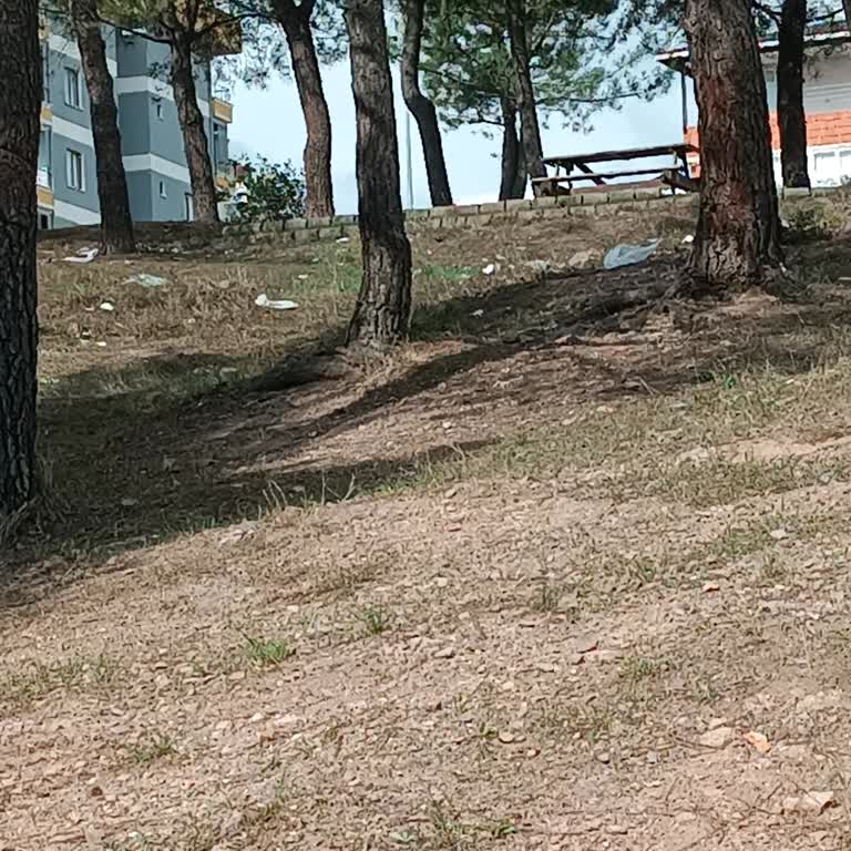 Yenişehir Mesire Alanı Mesire Alanı Piknik Alanı