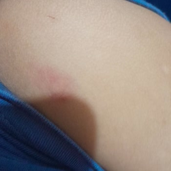 Harikalar Diyarı Anaokulu Teknopark Okulunun Adı Ve Aldıkları Parayı Hak Etmedi