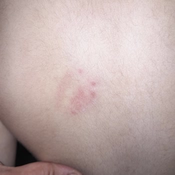 Harikalar Diyarı Anaokulu Teknopark Okulunun Adı Ve Aldıkları Parayı Hak Etmedi