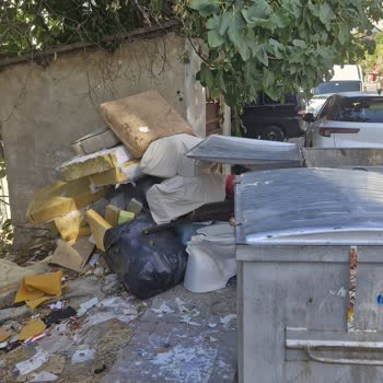 Maltepe Belediyesi Çöp Konteynerlerinin Etrafındaki Koku Ve Sinek Sorunu