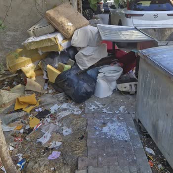 Maltepe Belediyesi Çöp Konteynerlerinin Etrafındaki Koku Ve Sinek Sorunu
